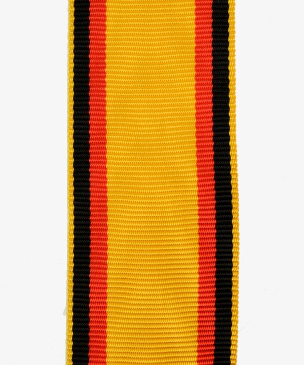 Reuss, Princely Reuss Cross of Honor, medal for self-sacrificing work (87)